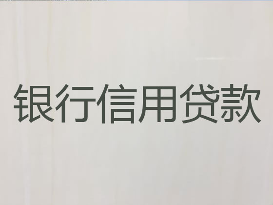 定边县正规贷款中介公司